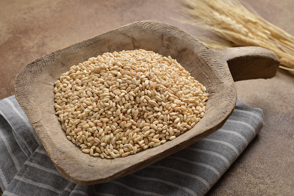  Ashura Wheat